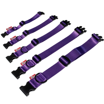 Halsband BASIC - lila
